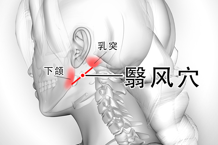 翳风准确位置图