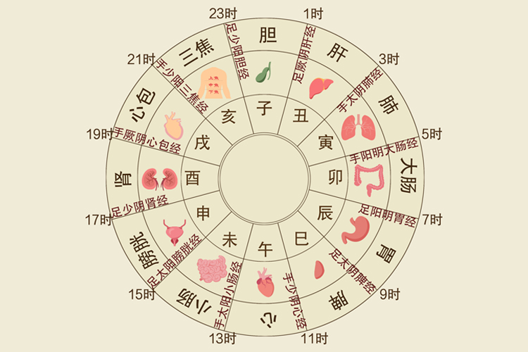 十二时辰养生图表