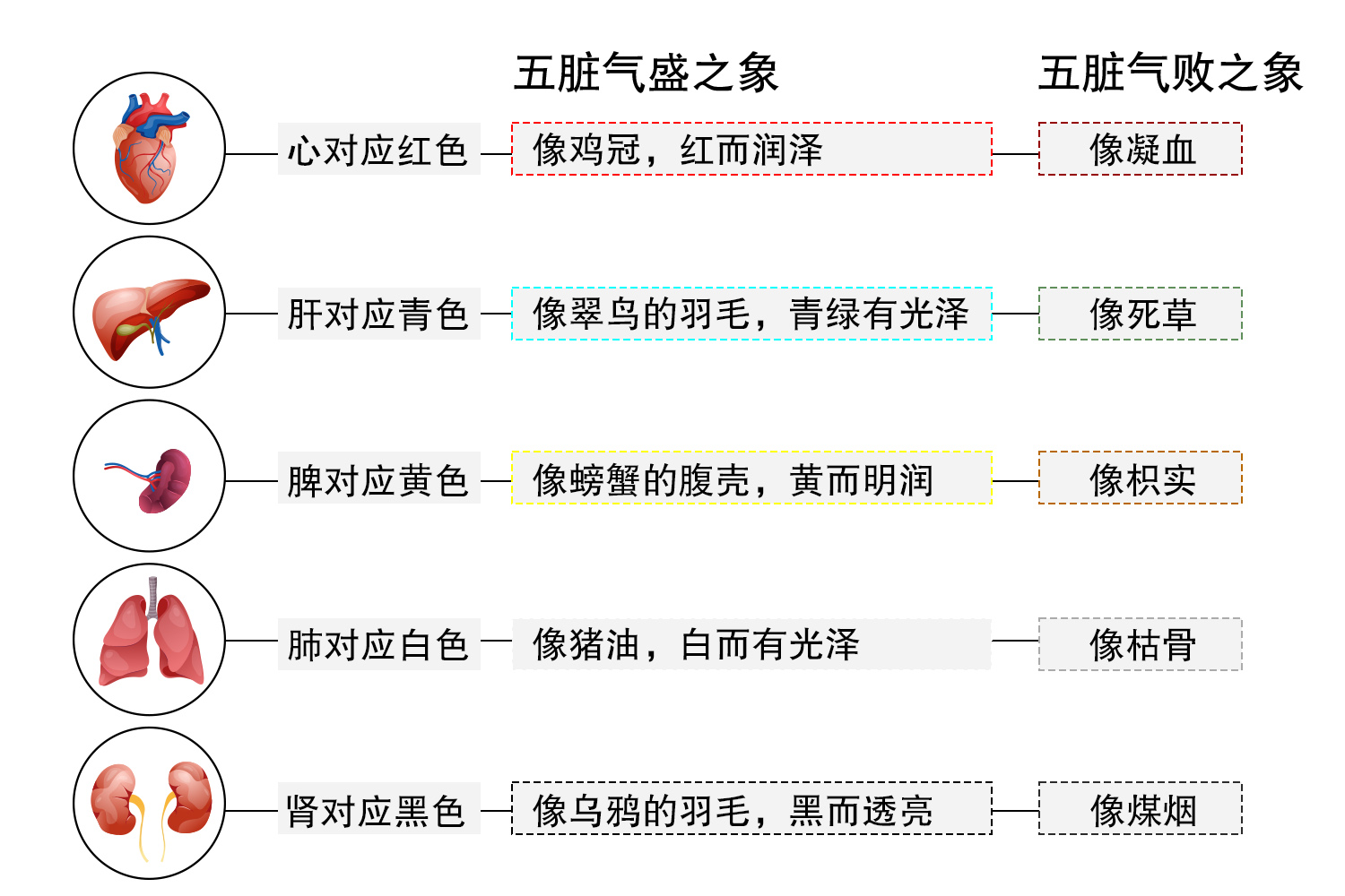 五色对应五脏图