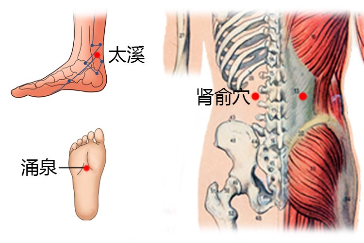 治疗肾病部位图