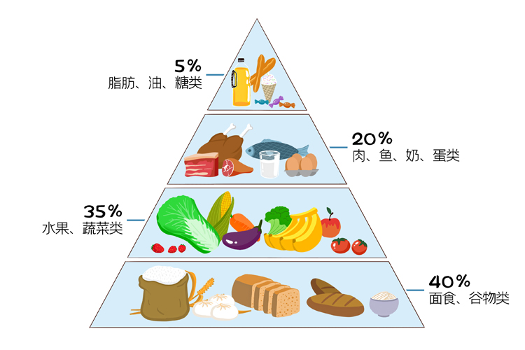 每日膳食结构图