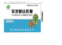 至灵菌丝胶囊(瑞森)