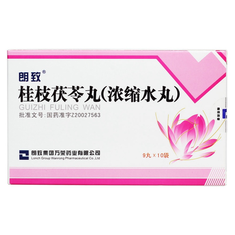 桂枝茯苓丸(朗致)