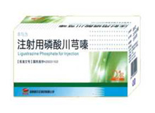 注射用磷酸川芎嗪(丰与力)